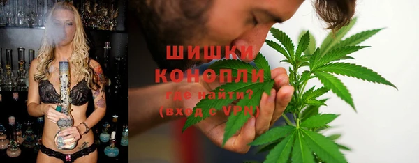 крисы Киренск