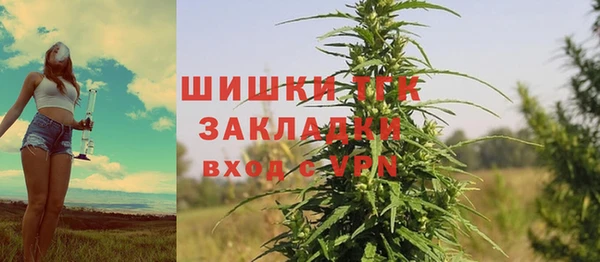 крисы Киренск