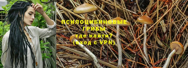 мяу мяу мука Кинешма