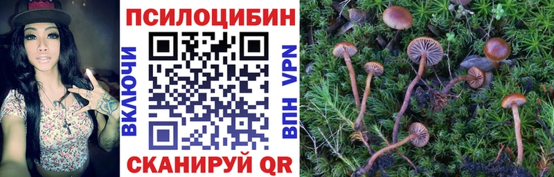 Псилоцибиновые грибы прущие грибы Краснокамск